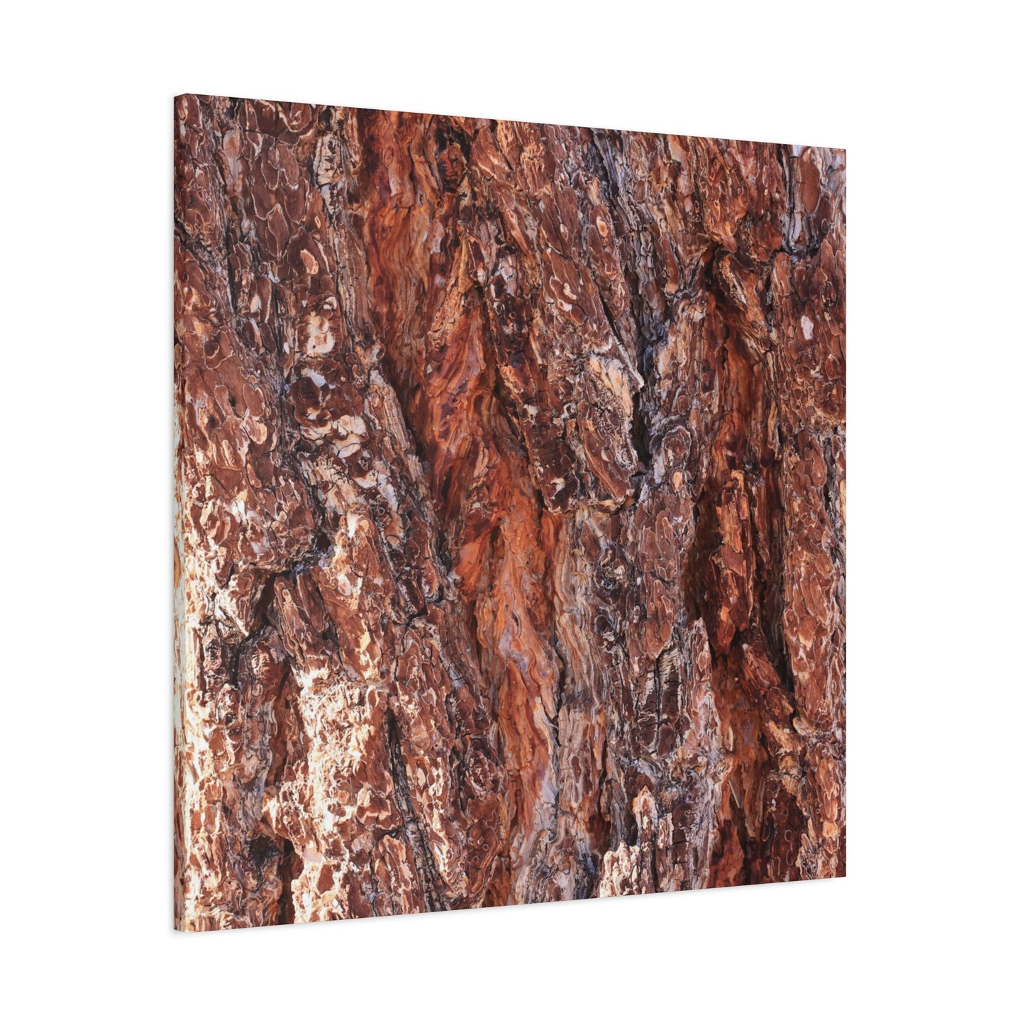 Rust and Ridges - Unique Frameless Canvas Wall Art