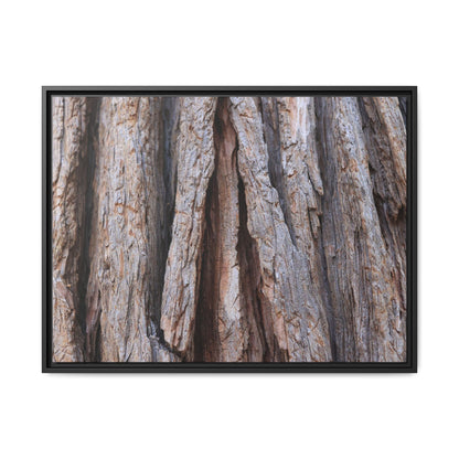 Nature's Sculpture - Unique Stretched Canvas Wall Art - Art By Earth