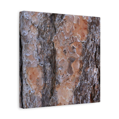Terracotta Textures - Unique Frameless Canvas Wall Art - Art By Earth