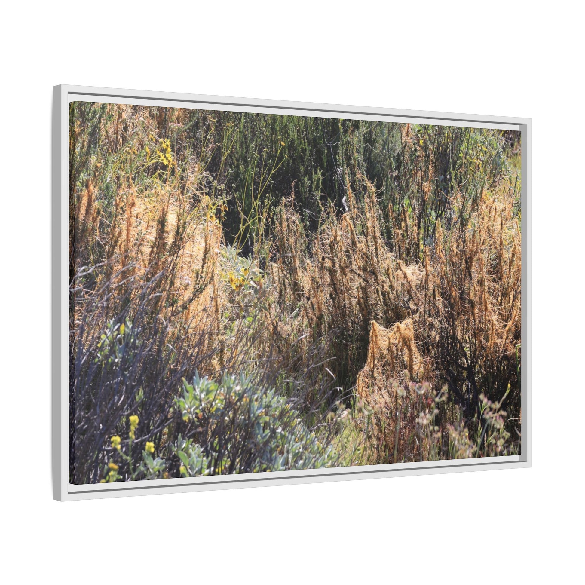 Drought-Stricken Landscape - Unique Stretched Canvas Wall Art - Art By Earth