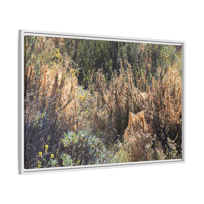 Drought-Stricken Landscape - Unique Stretched Canvas Wall Art - Art By Earth