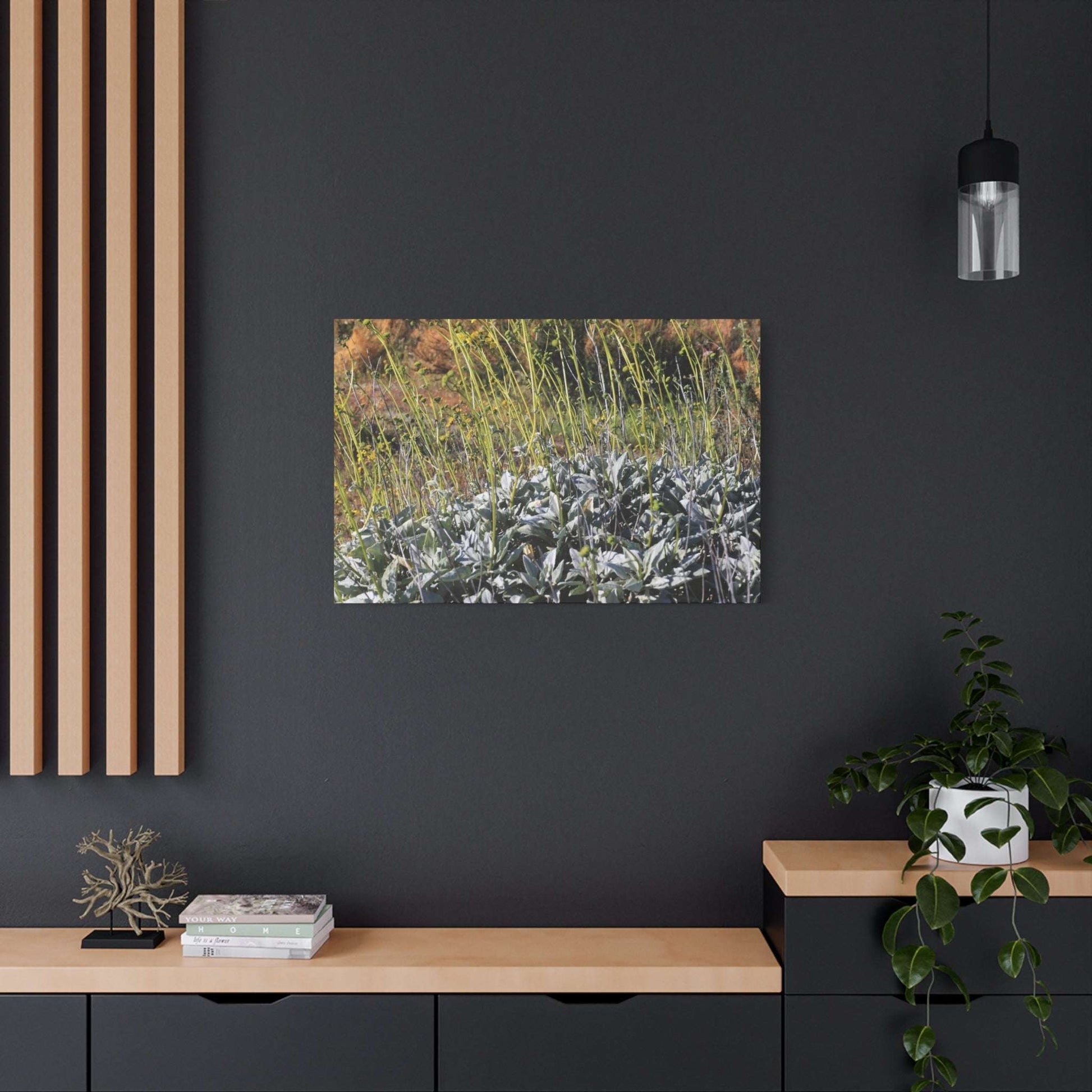 Desert Wildflowers in Bloom - Unique Frameless Canvas Wall Art - Art By Earth