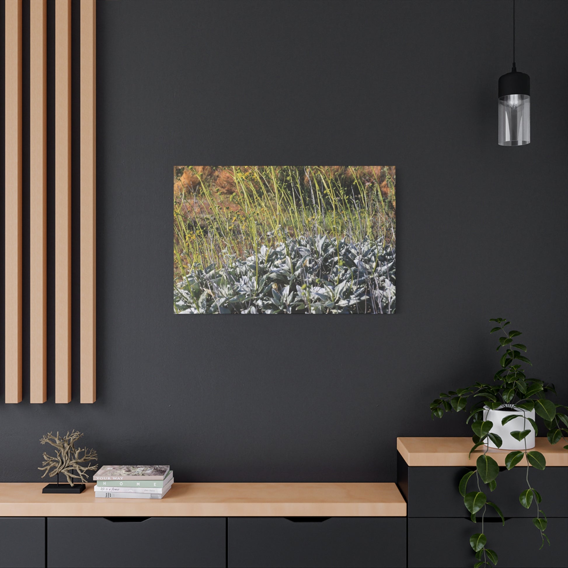 Desert Wildflowers in Bloom - Unique Frameless Canvas Wall Art - Art By Earth