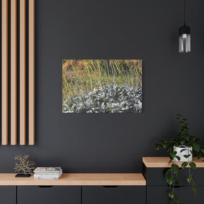Desert Wildflowers in Bloom - Unique Frameless Canvas Wall Art - Art By Earth