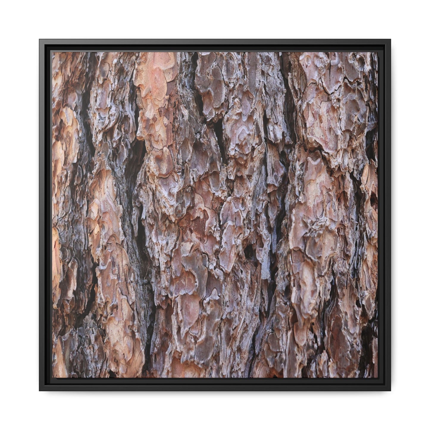 Layered Textures - Unique Stretched Canvas Wall Art - Art By Earth