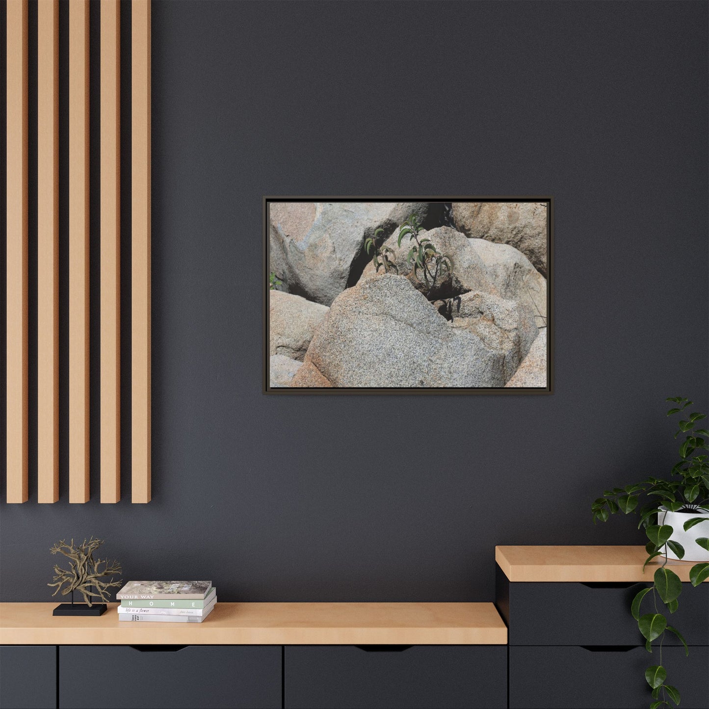 Desert Plant Thriving Among Rocks - Unique Stretched Canvas Wall Art