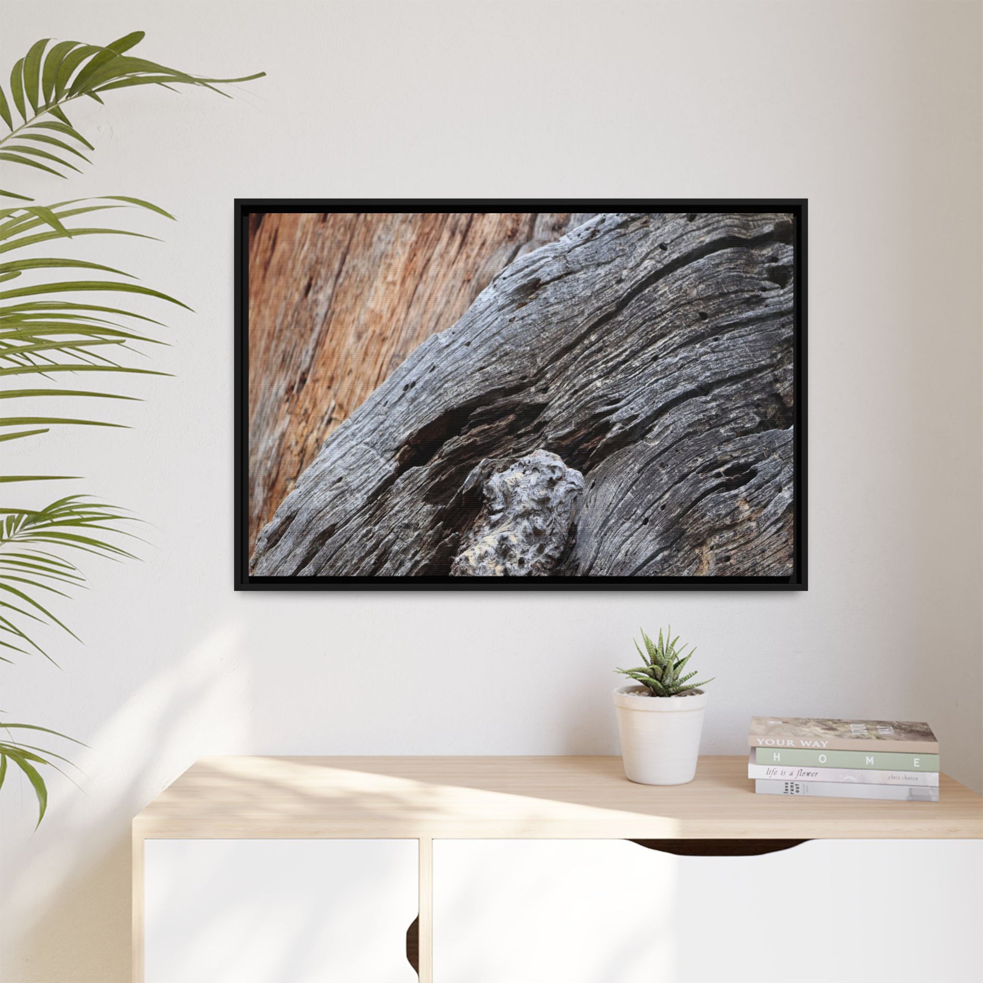 Time's Mark on Timber - Unique Stretched Canvas Wall Art - Art By Earth