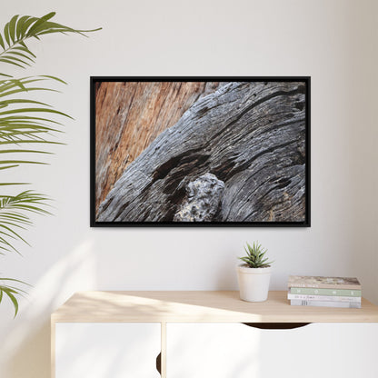 Time's Mark on Timber - Unique Stretched Canvas Wall Art - Art By Earth