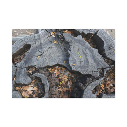 Weathered Woodland Whispers - Unique Frameless Canvas Wall Art - Art By Earth