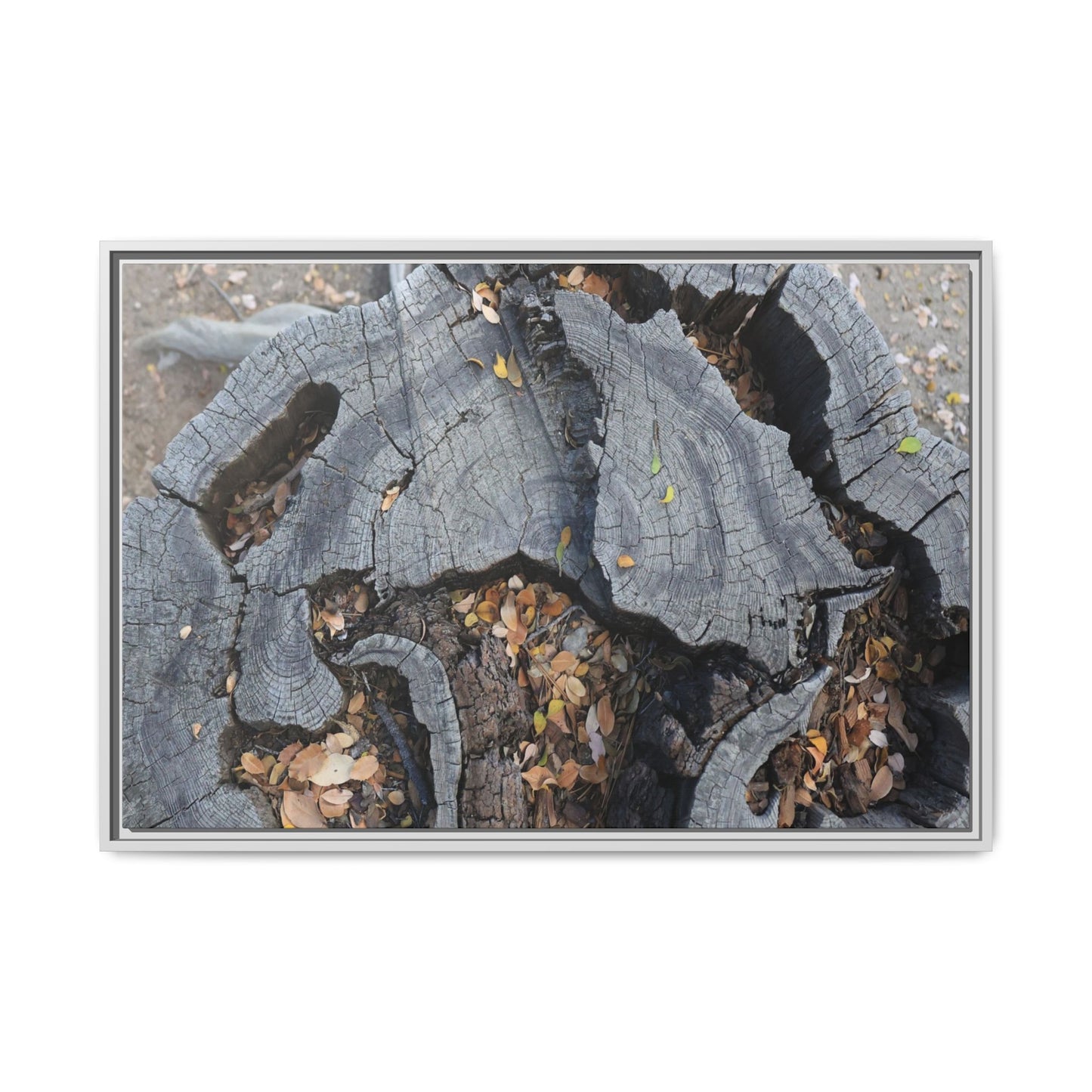 Time's Fractal Memory - Unique Stretched Canvas Wall Art - Art By Earth