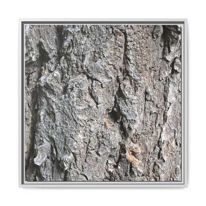 Crusty Exterior - Unique Stretched Canvas Wall Art - Art By Earth