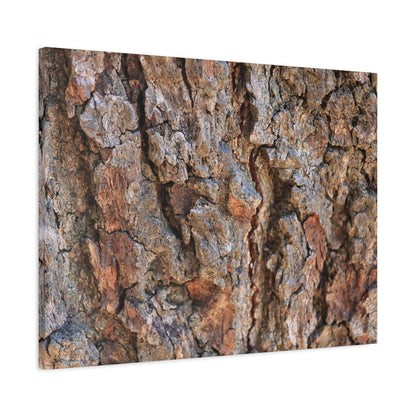 Roots of Time - Unique Frameless Canvas Wall Art - Art By Earth