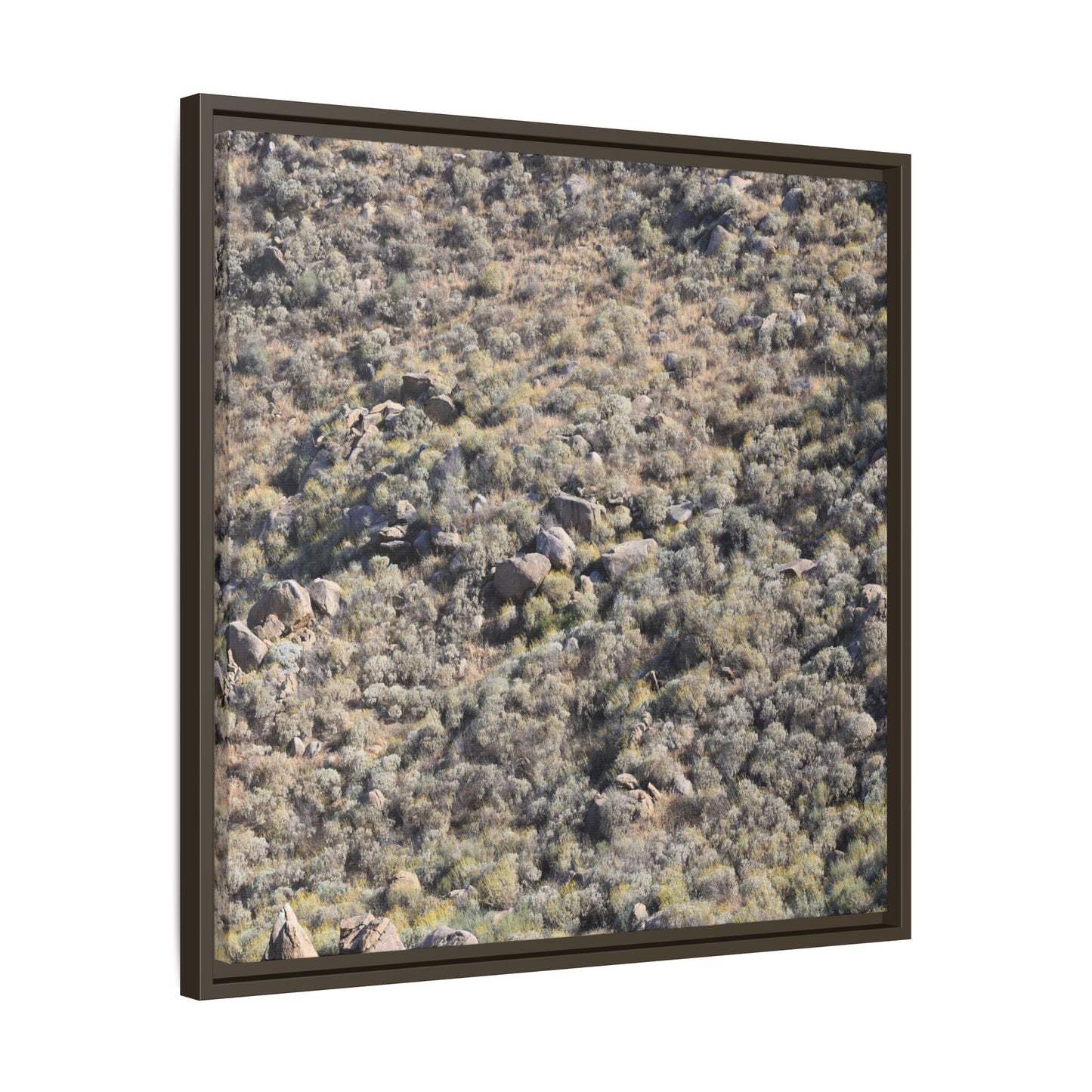 Arid Terrain Study - Unique Stretched Canvas Wall Art - Art By Earth
