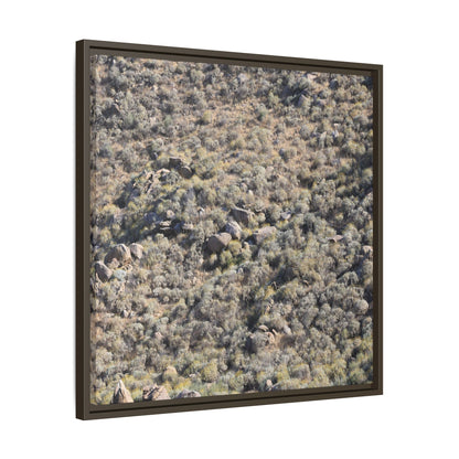 Arid Terrain Study - Unique Stretched Canvas Wall Art - Art By Earth