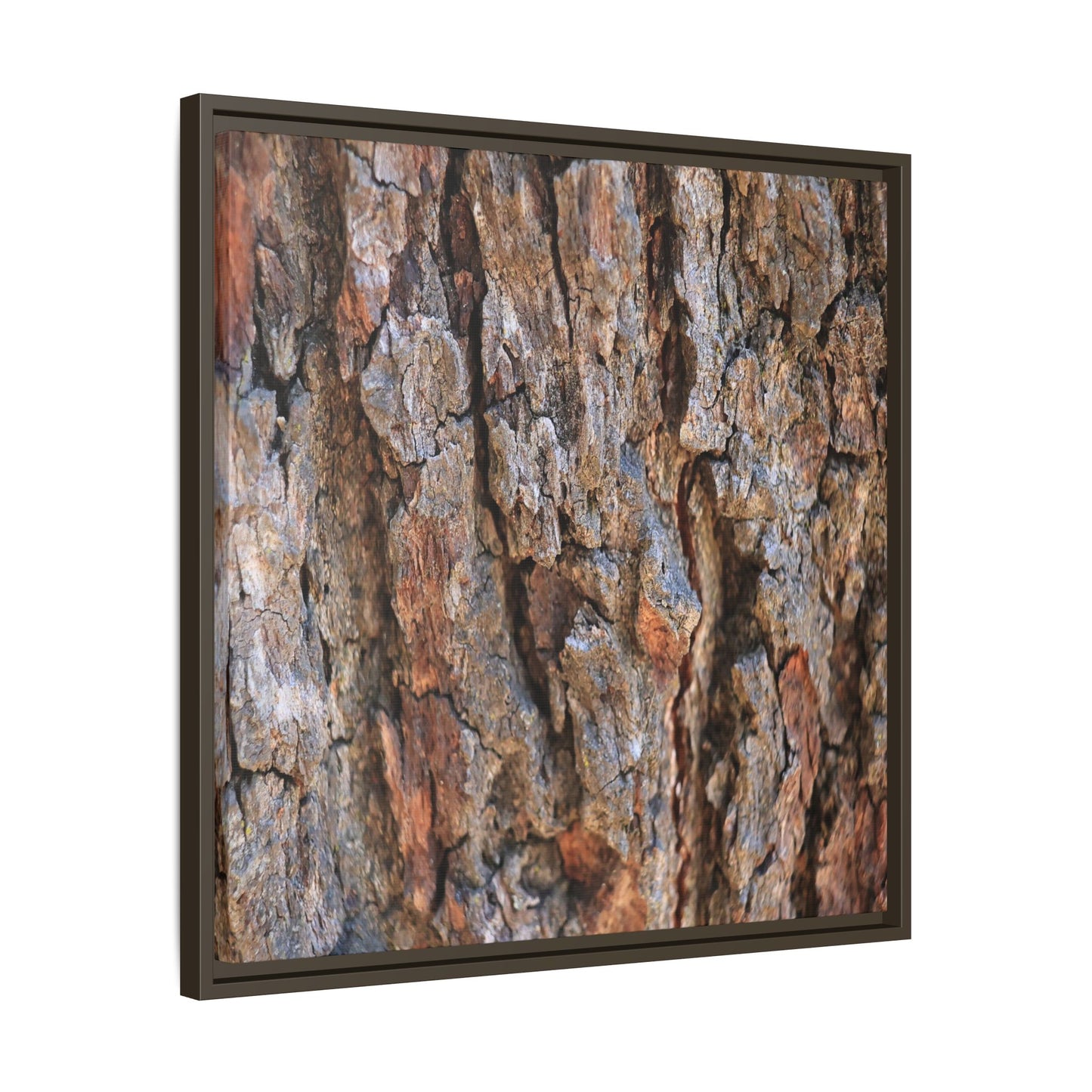 Craggy Textures - Unique Stretched Canvas Wall Art - Art By Earth