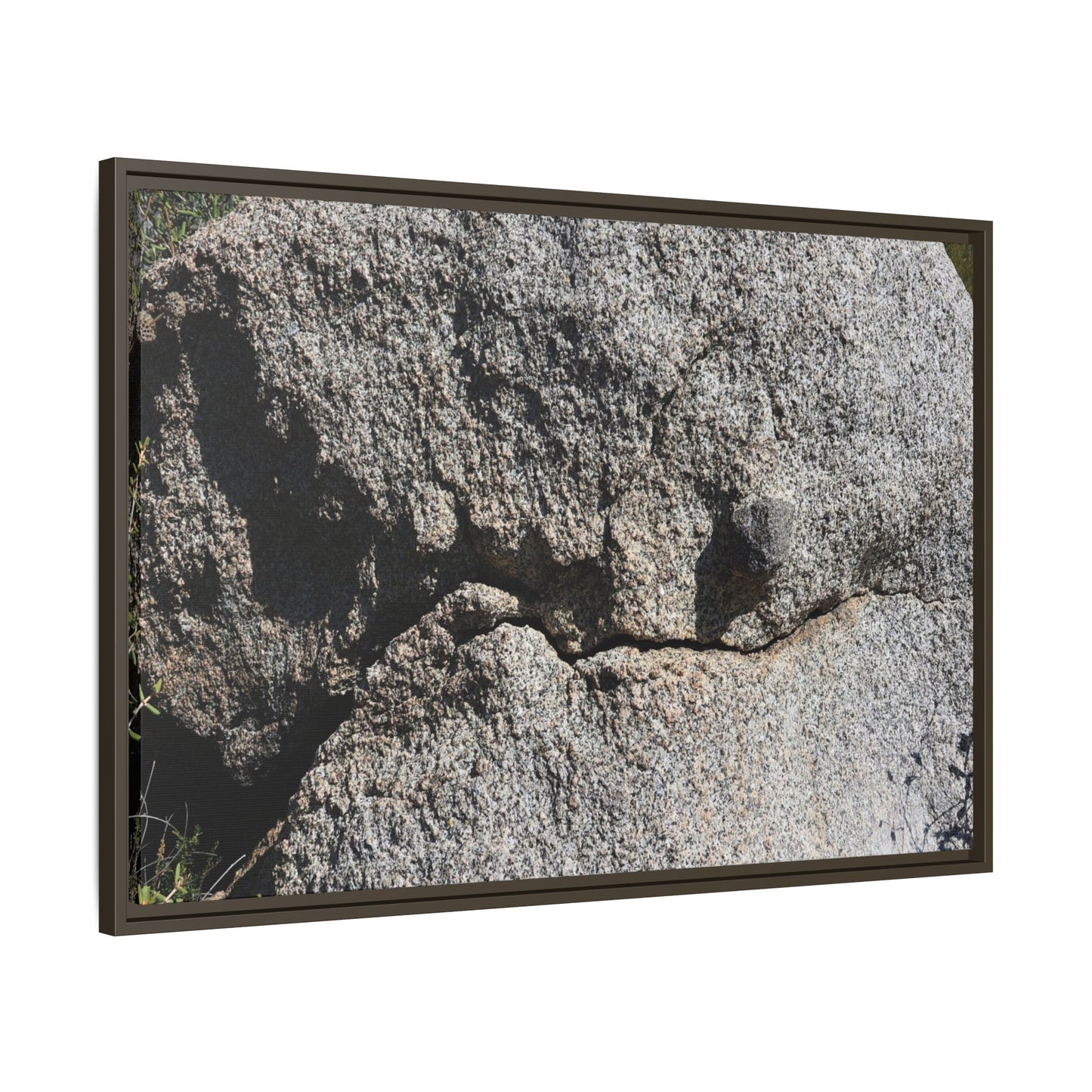 Stone Skull in Desert - Unique Stretched Canvas Wall Art