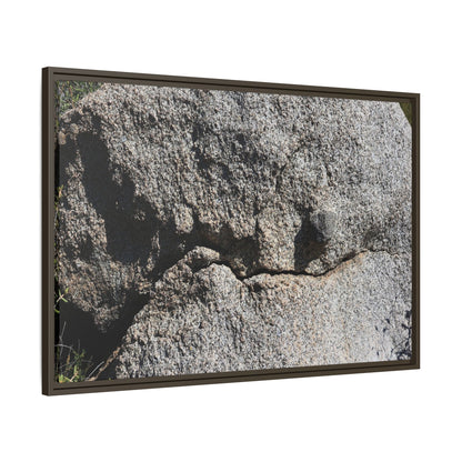 Stone Skull in Desert - Unique Stretched Canvas Wall Art