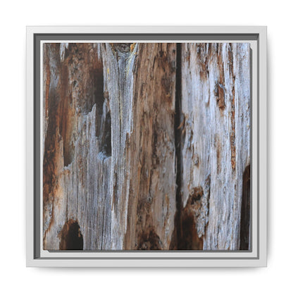 Decaying Splendor - Unique Stretched Canvas Wall Art - Art By Earth