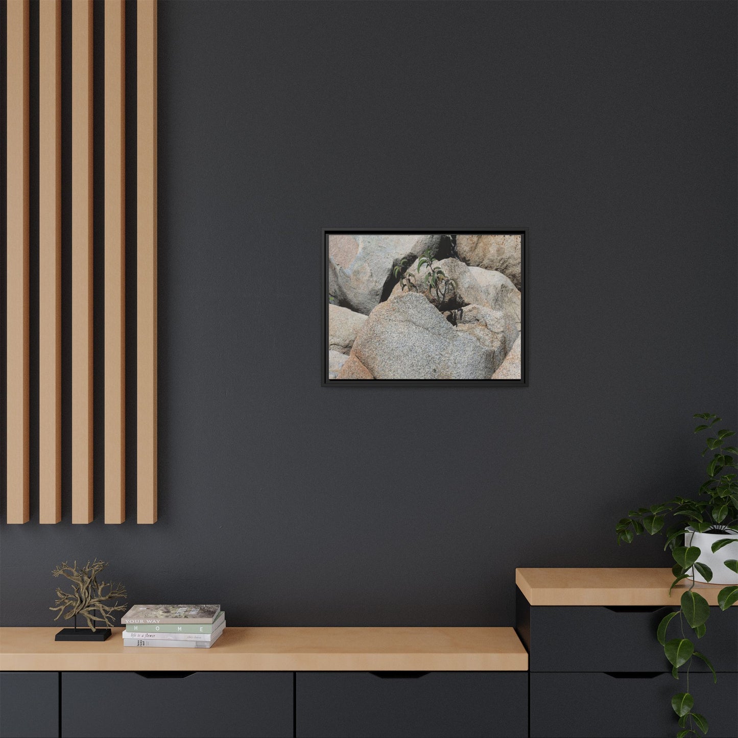 Desert Plant Thriving Among Rocks - Unique Stretched Canvas Wall Art