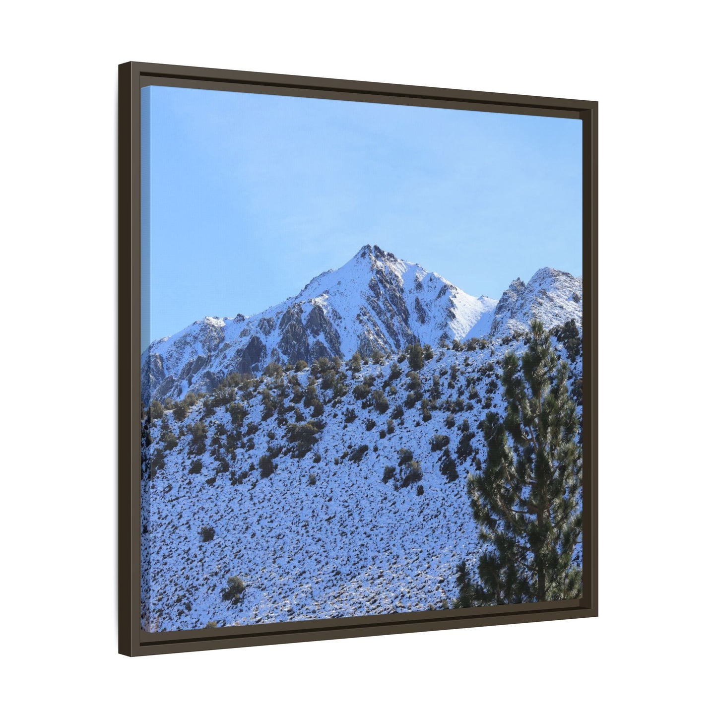 Snow's Embrace - Unique Stretched Canvas Wall Art