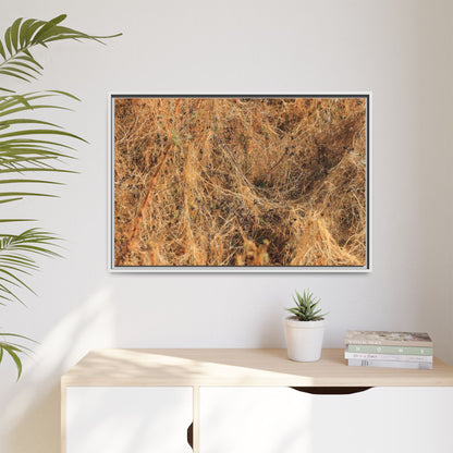 Dried Vegetation Study - Unique Stretched Canvas Wall Art - Art By Earth