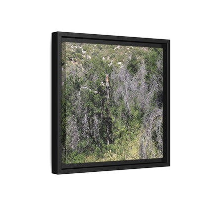Forest Decline - Unique Stretched Canvas Wall Art