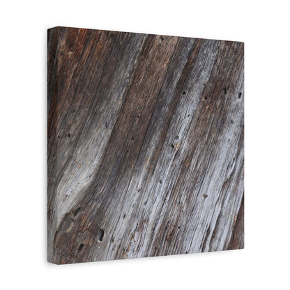 Aged Planks - Unique Frameless Canvas Wall Art - Art By Earth