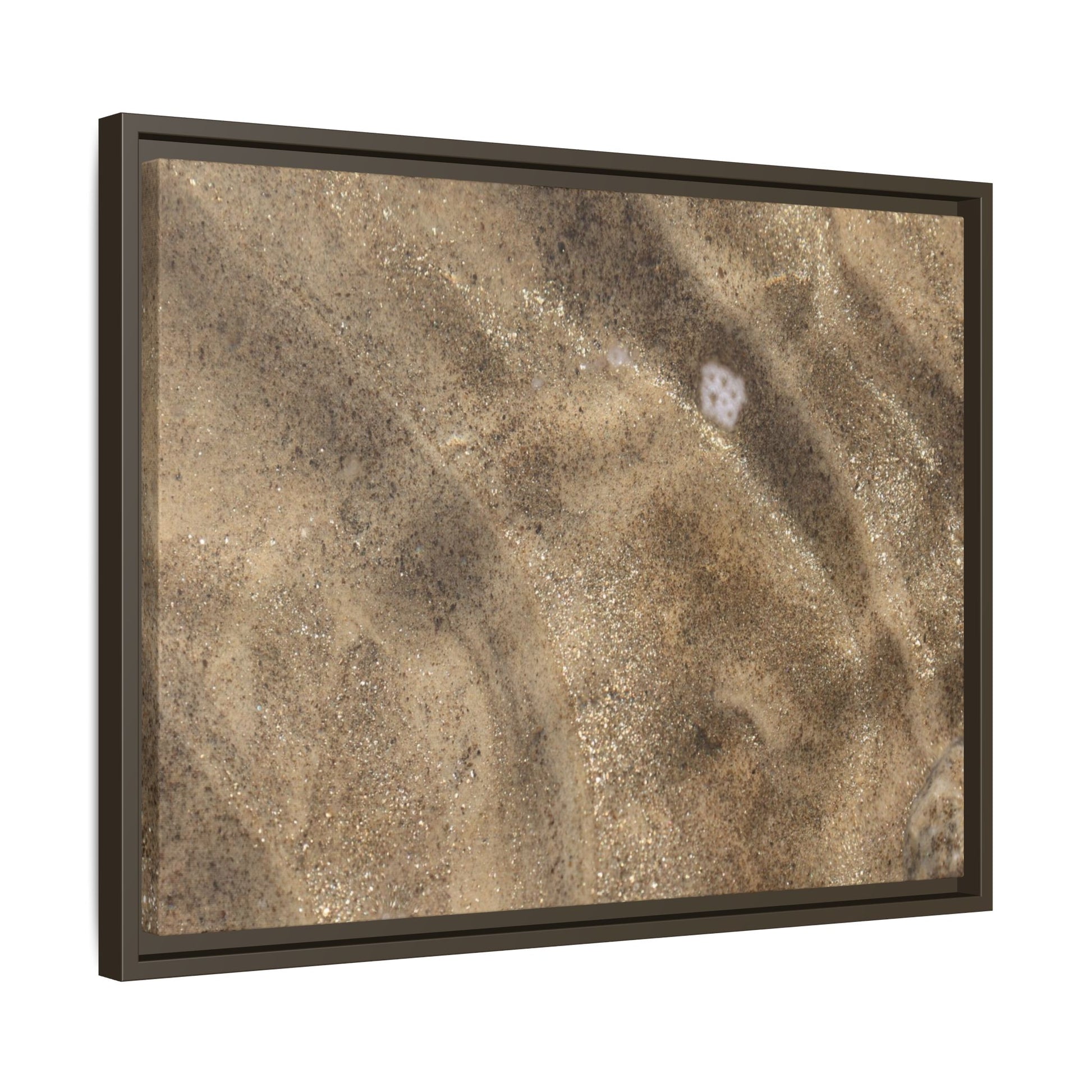 Underwater Sand Exploration - Unique Stretched Canvas Wall Art - Art By Earth