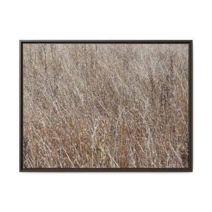 Dry Grass Symphony - Unique Stretched Canvas Wall Art - Art By Earth