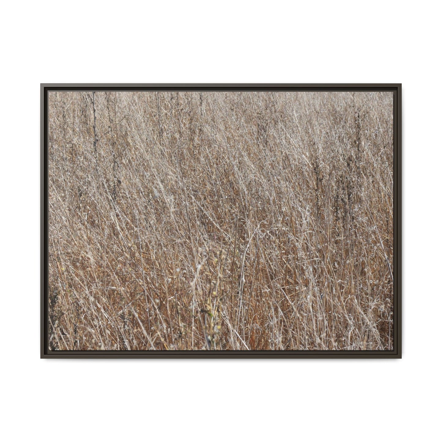 Whispers of Autumn - Unique Stretched Canvas Wall Art - Art By Earth