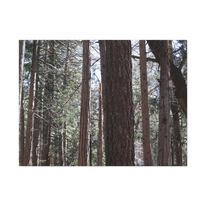 Vertical Sentinels - Unique Frameless Canvas Wall Art - Art By Earth