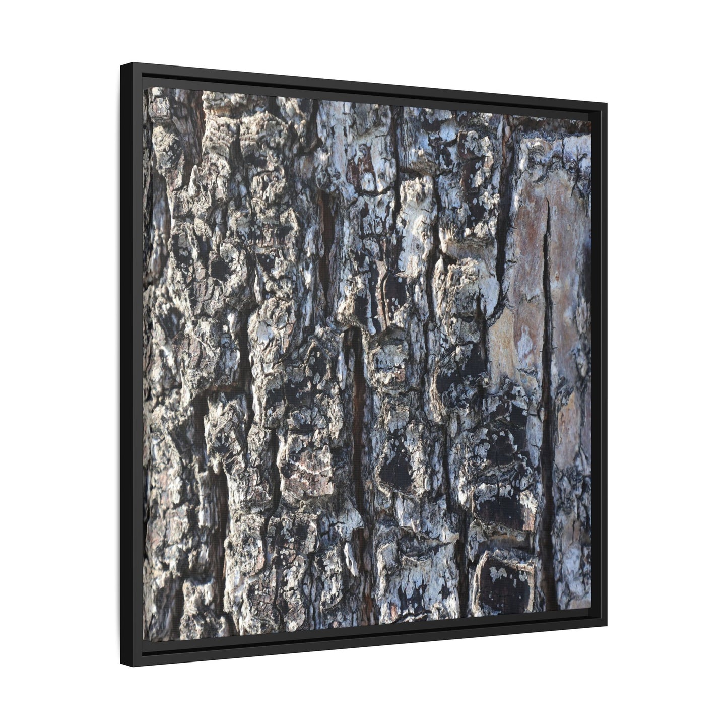 The Bark Chronicles - Unique Stretched Canvas Wall Art - Art By Earth