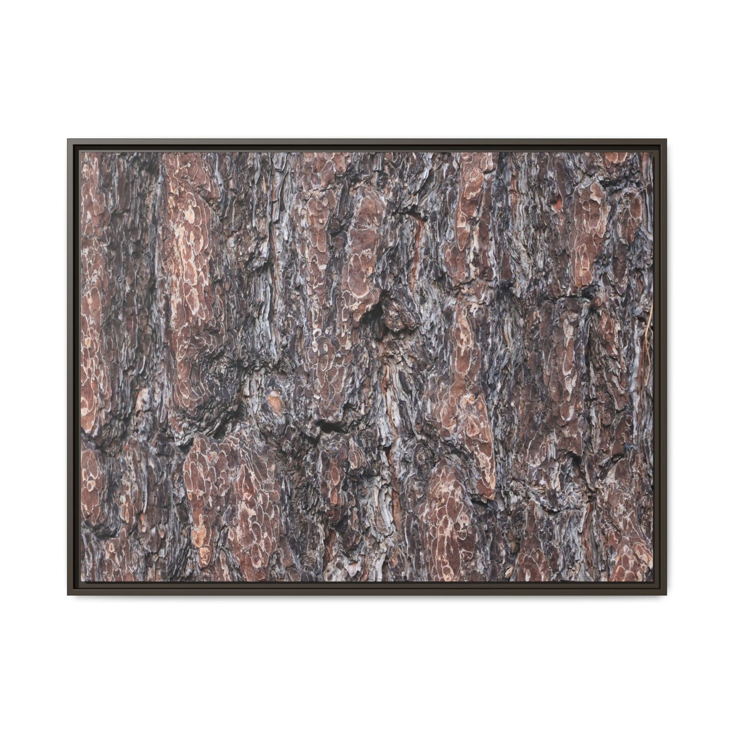 Echoes of Wood - Unique Stretched Canvas Wall Art