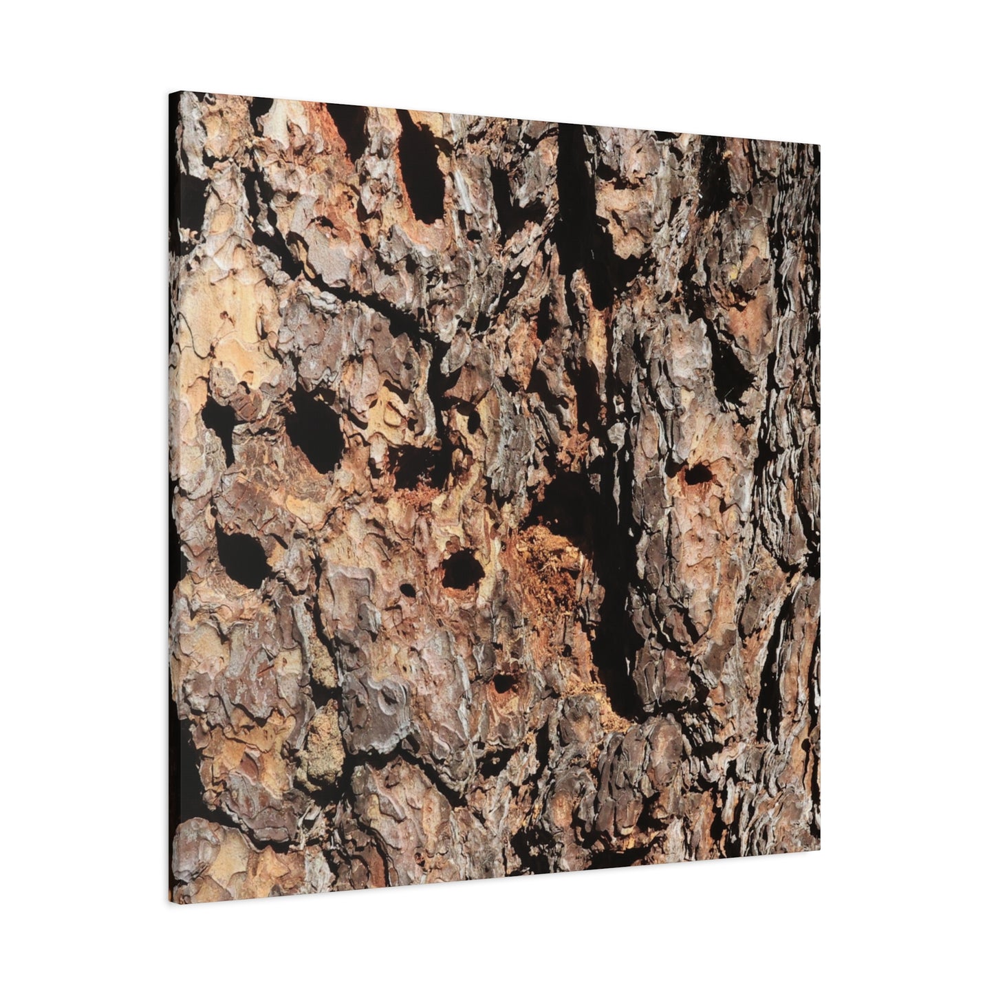 Tree Bark Mosaic - Unique Frameless Canvas Wall Art - Art By Earth