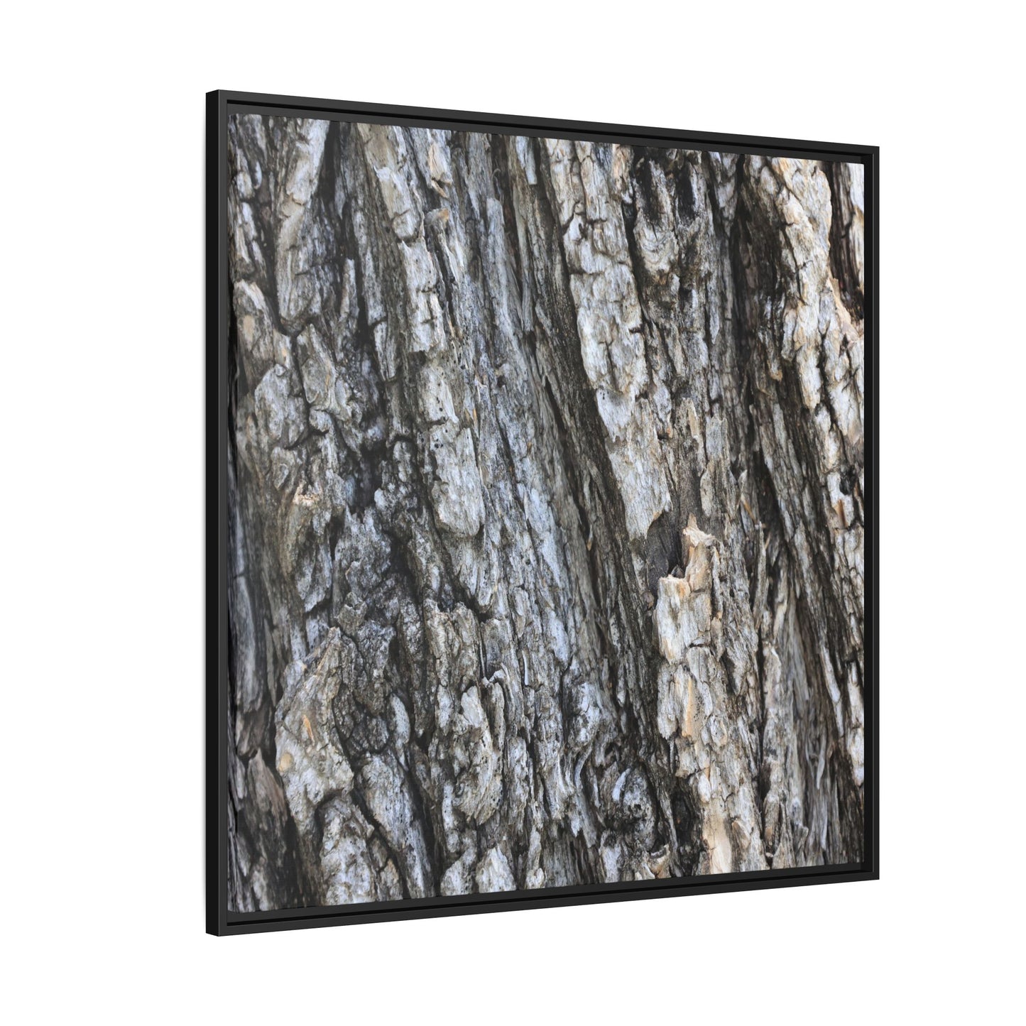 Twisted Textures - Unique Stretched Canvas Wall Art - Art By Earth