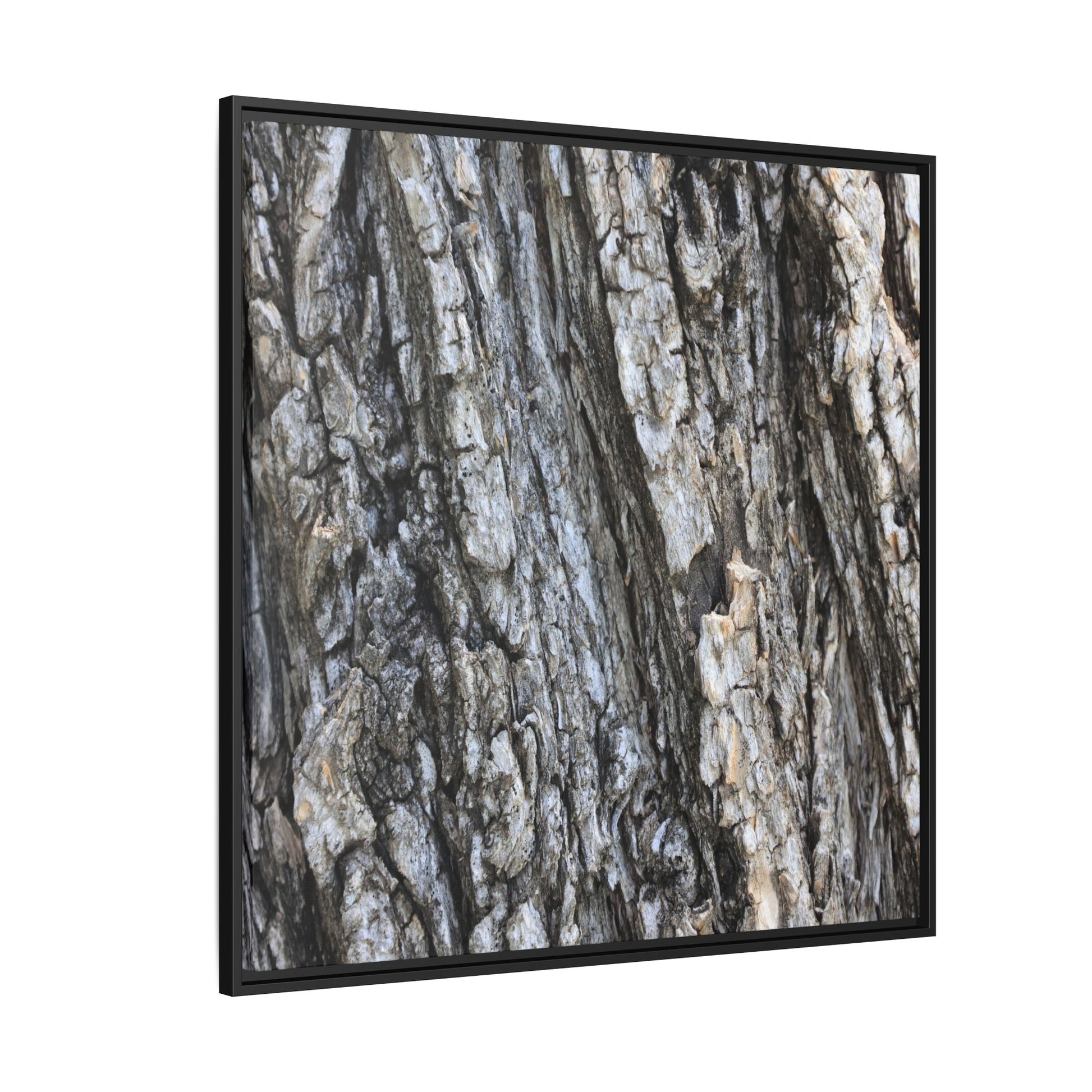 Twisted Textures - Unique Stretched Canvas Wall Art - Art By Earth