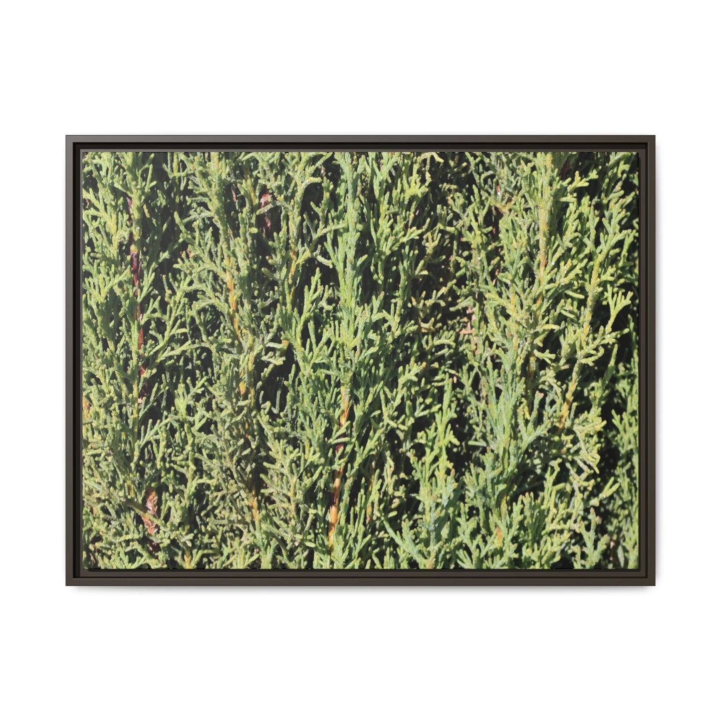 Emerald Labyrinth - Unique Stretched Canvas Wall Art - Art By Earth