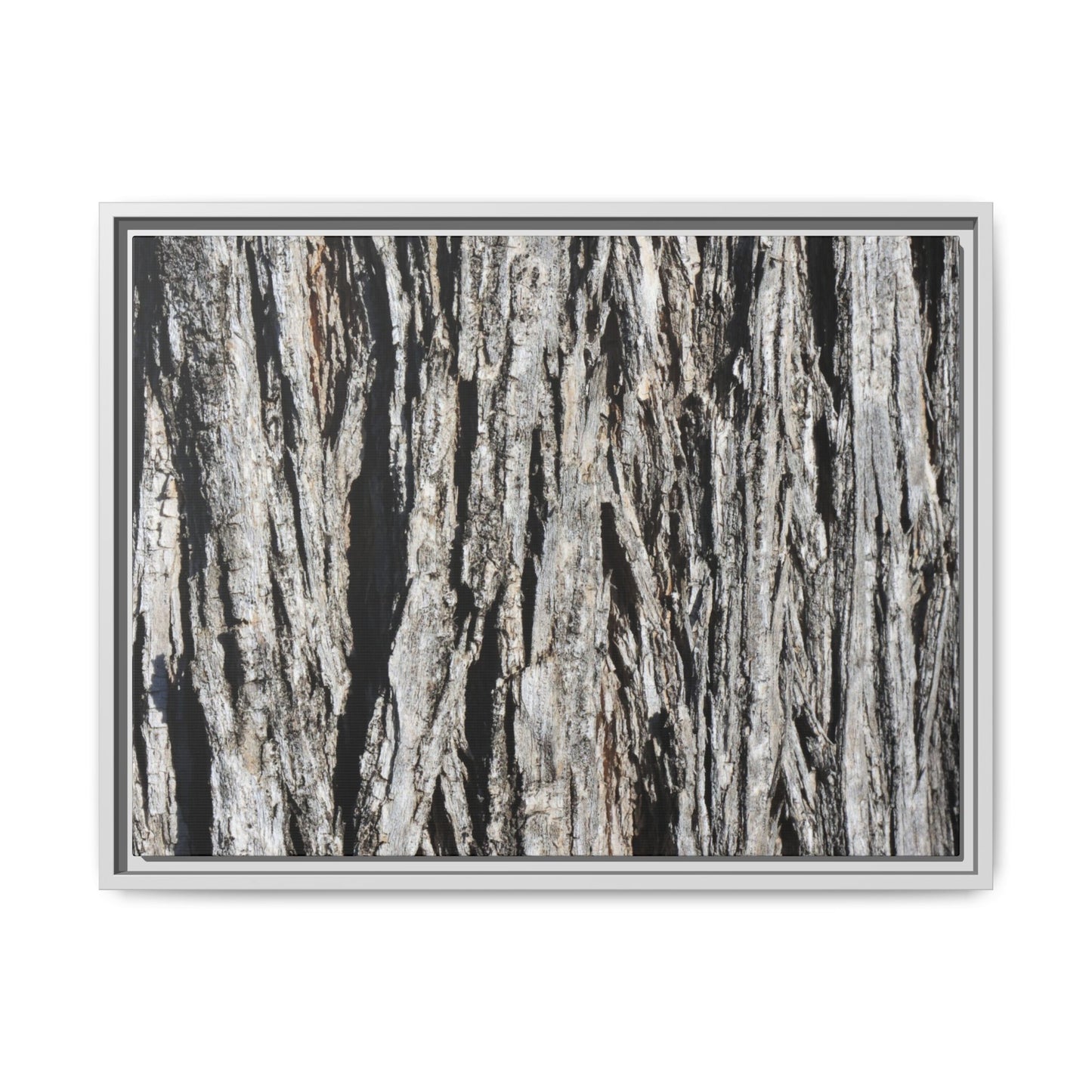 Nature's Abstract - Unique Stretched Canvas Wall Art - Art By Earth