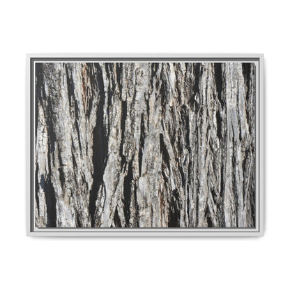 Nature's Abstract - Unique Stretched Canvas Wall Art - Art By Earth