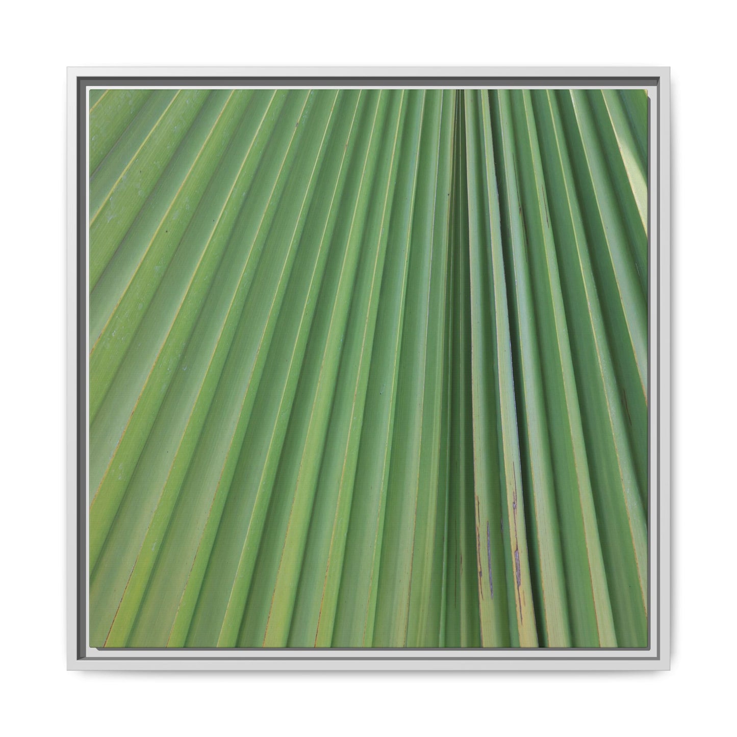 Emerald Rays - Unique Stretched Canvas Wall Art - Art By Earth