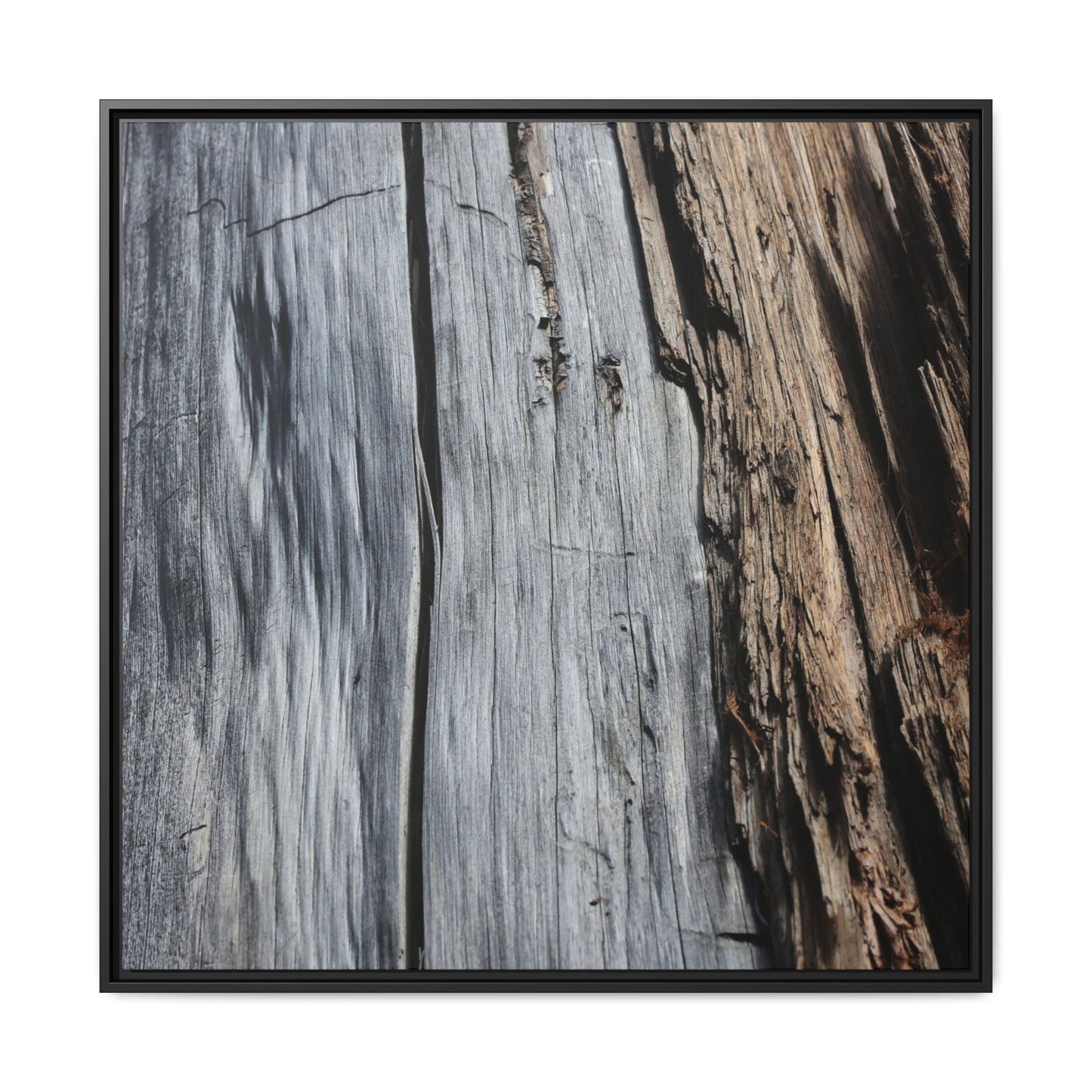 Wood's Lament - Unique Stretched Canvas Wall Art - Art By Earth