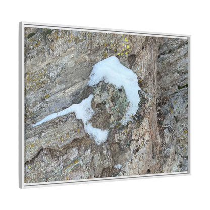 Lichen's Embrace - Unique Stretched Canvas Wall Art