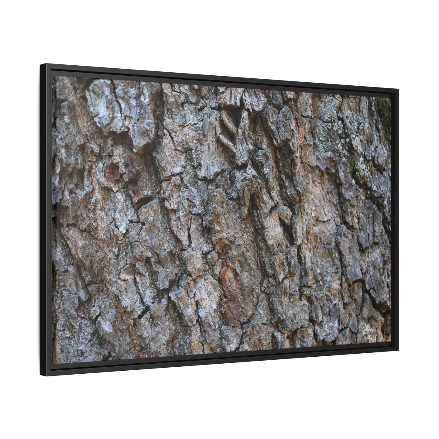 Woodland Skin - Unique Stretched Canvas Wall Art - Art By Earth