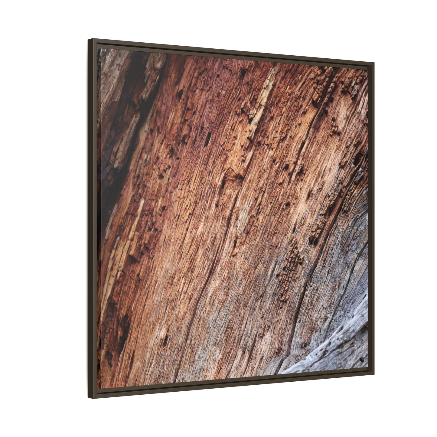 Time's Mark - Unique Stretched Canvas Wall Art - Art By Earth