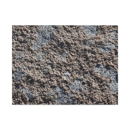 Soil and Stone - Unique Frameless Canvas Wall Art