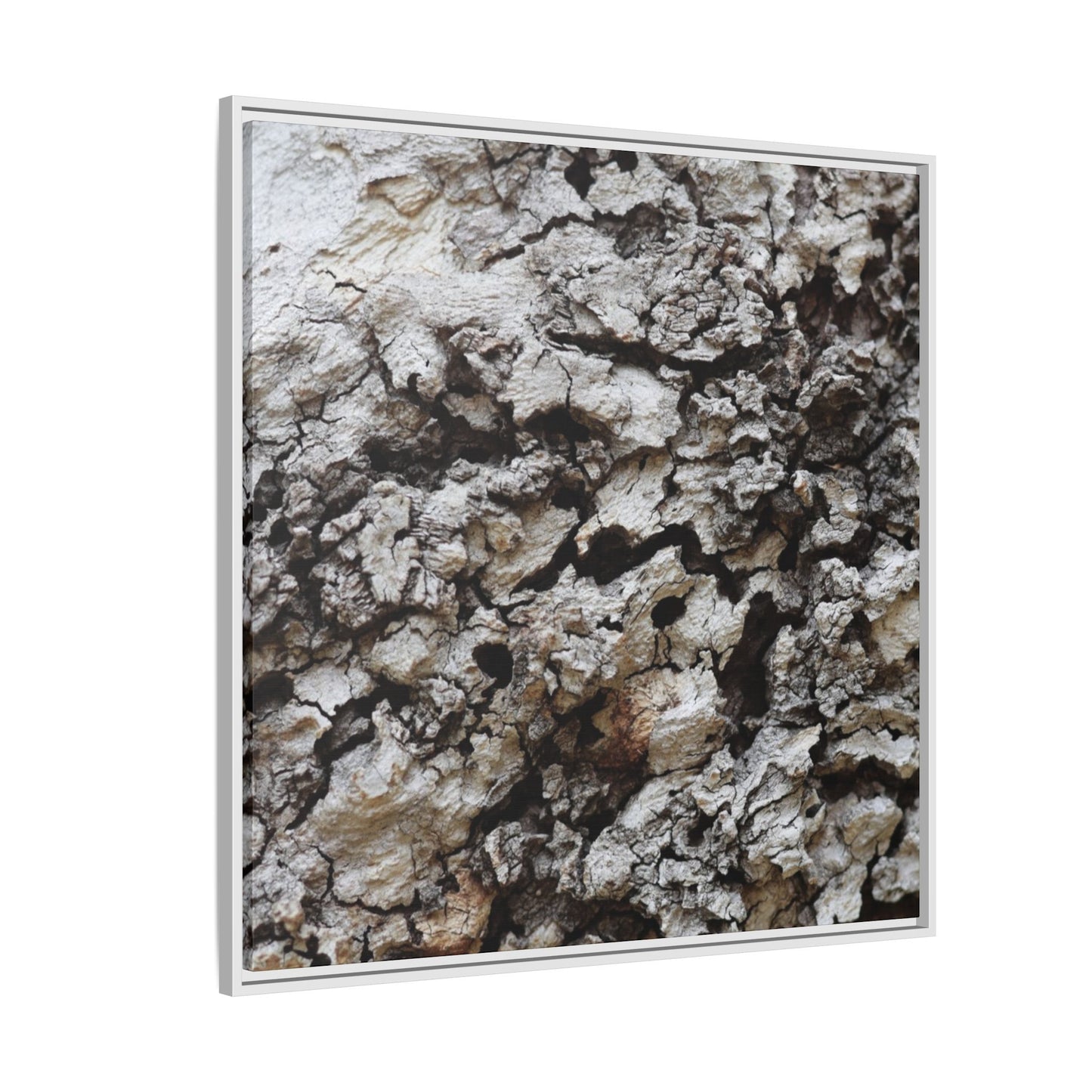 Cracked Terrain - Unique Stretched Canvas Wall Art - Art By Earth