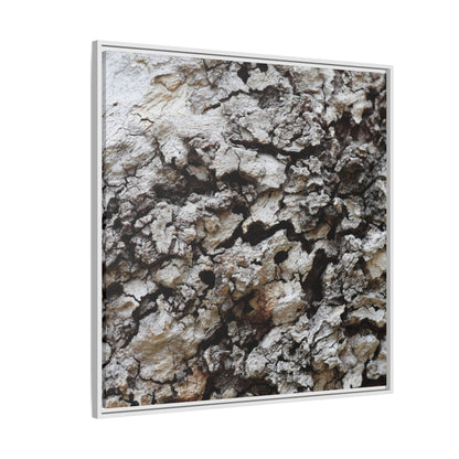 Cracked Terrain - Unique Stretched Canvas Wall Art - Art By Earth