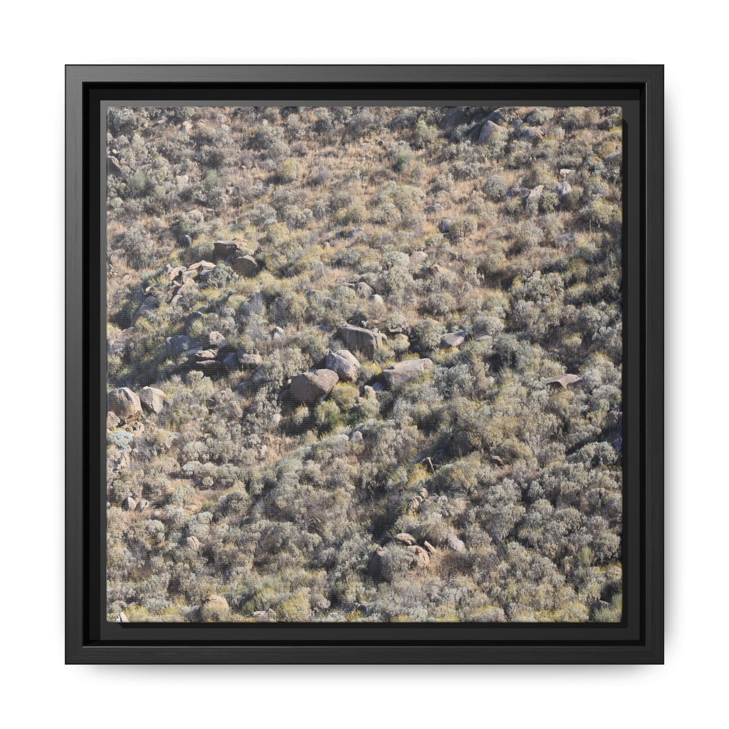 Arid Terrain Study - Unique Stretched Canvas Wall Art - Art By Earth
