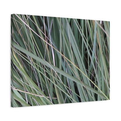 Whispers of Green - Unique Frameless Canvas Wall Art - Art By Earth