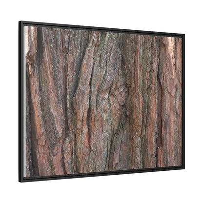 Rugged Textures - Unique Stretched Canvas Wall Art - Art By Earth